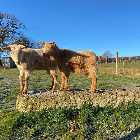 Lovaton Farmhouse Okehampton Bagian luar foto