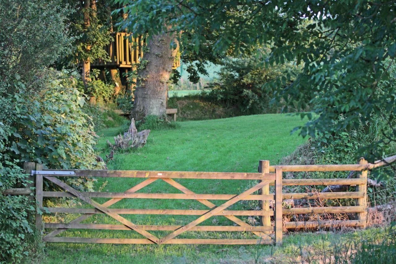 Lovaton Farmhouse Okehampton Bagian luar foto