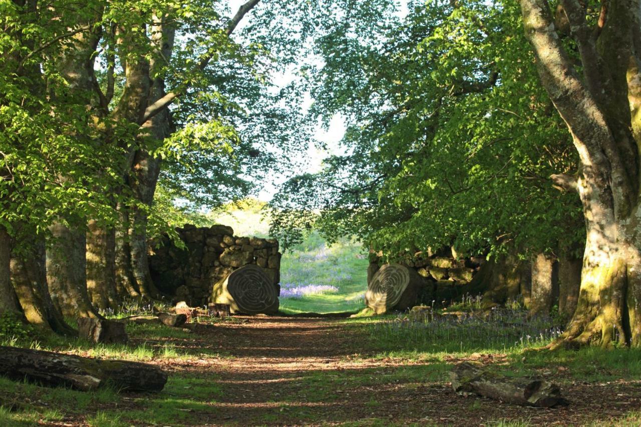 Lovaton Farmhouse Okehampton Bagian luar foto