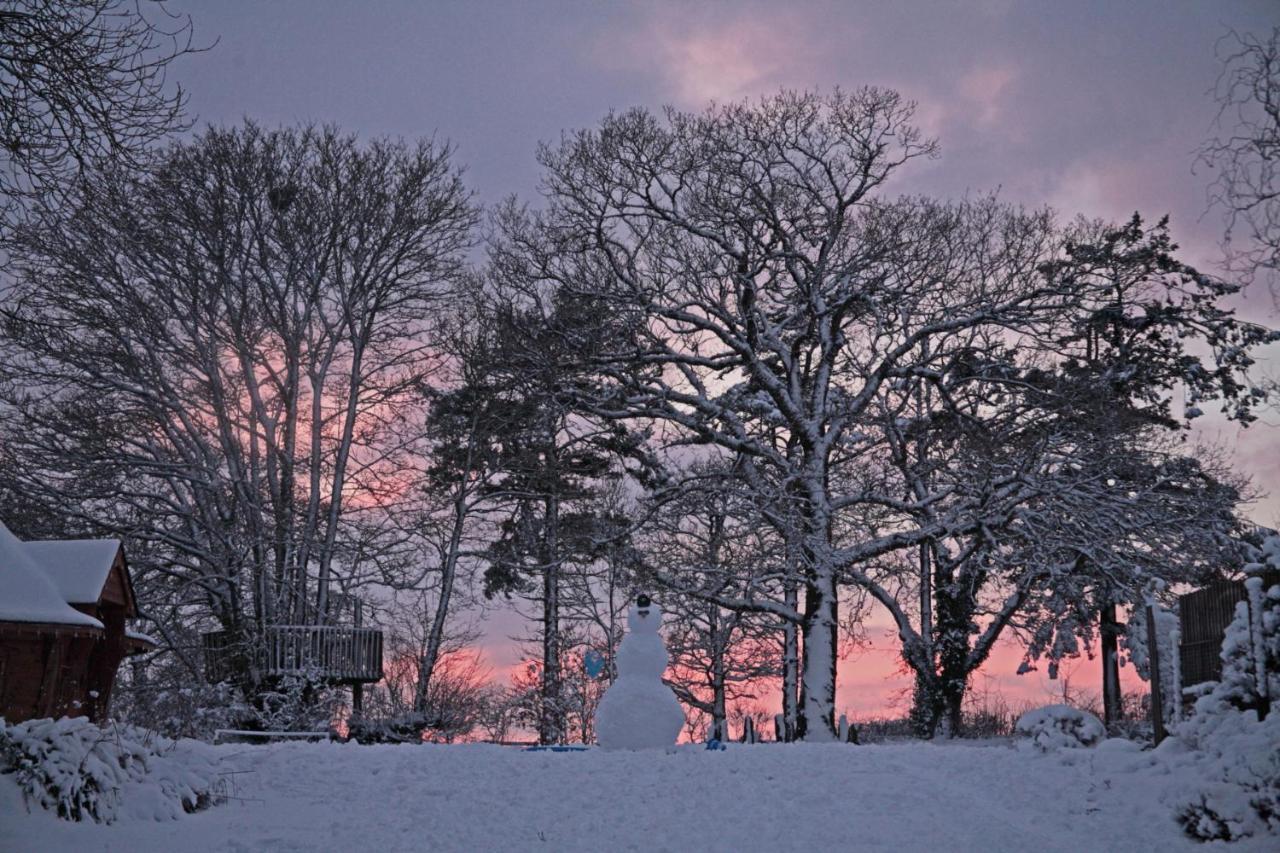 Lovaton Farmhouse Okehampton Bagian luar foto