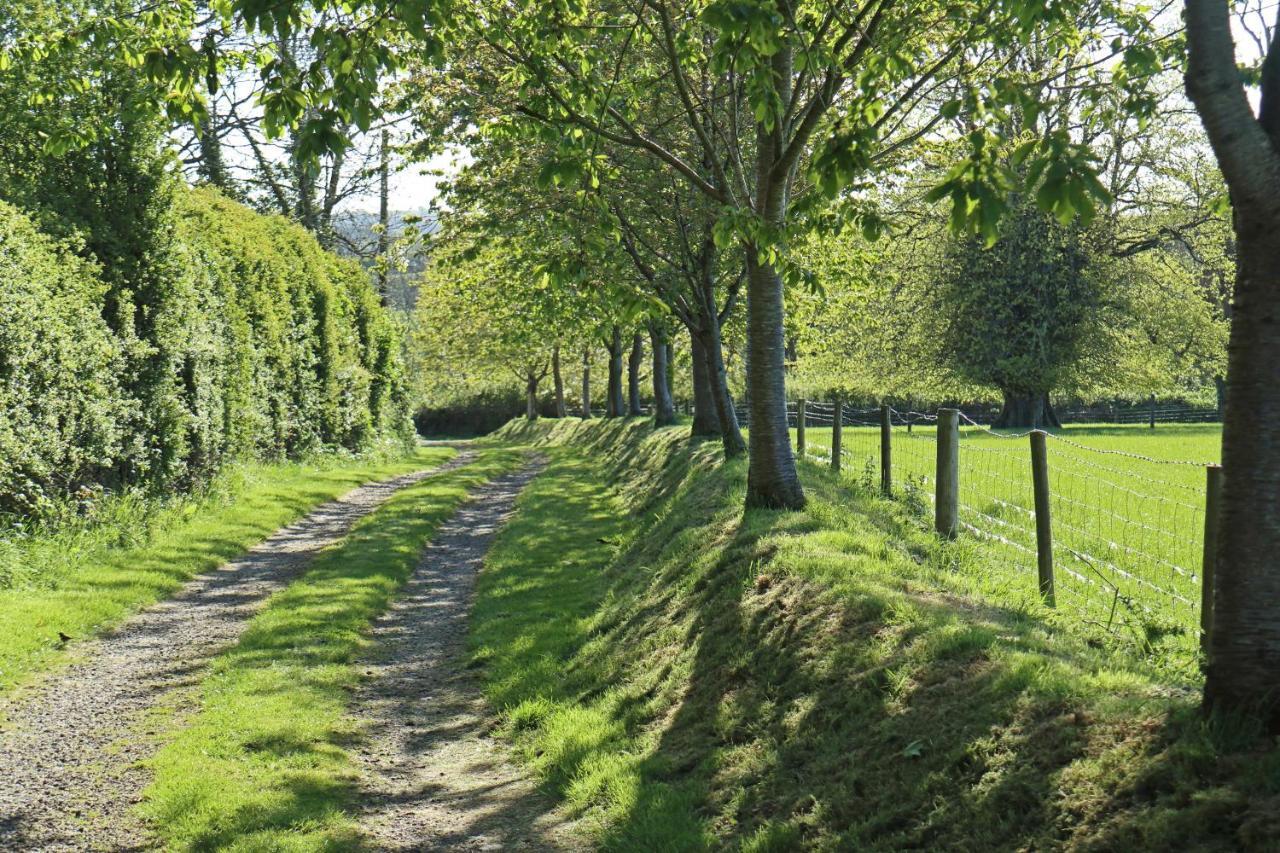 Lovaton Farmhouse Okehampton Bagian luar foto